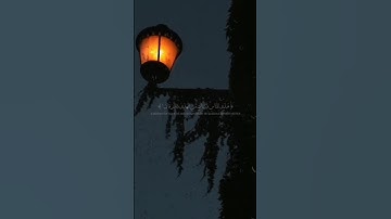 تلاوة القرآن الكريم هادئة بصوت جميل جداً يريح القلب #القران_الكريم