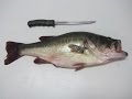 HOW TO FILLET A BASS