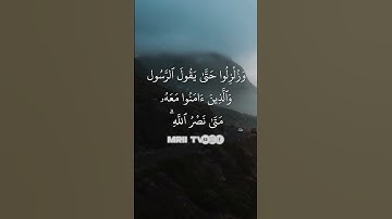 ماهر المعيقلي - سورة البقرة ( برواية حفص عن عاصم ) الأية 214