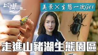 走進山豬湖生態園區🌿美景滿分×生態體驗一次Get!|上山下海過一夜 精華