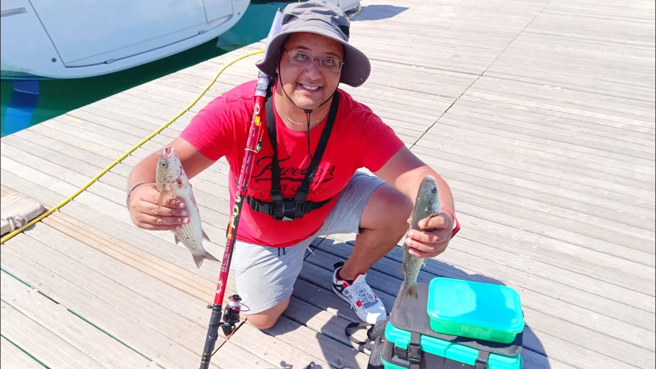 Ψάρεμα κέφαλου στη μαρίνα🎣Mullet fishing🇬🇧 Pescare il cefalo🐟 bolognese🇮🇹 equipment, technique, bait