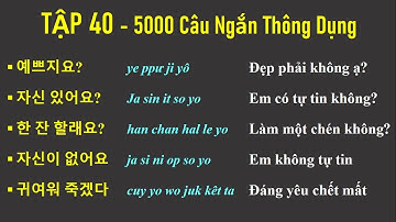 [TẬP 40] 5000 CÂU TIẾNG HÀN NGẮN THÔNG DỤNG | 실제로 자주 쓰는 한국어 문장들