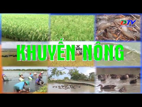 Khuyến nông: Mô hình chăn nuôi heo kết hợp – 08/7/2020.