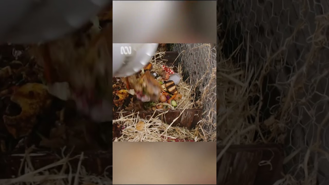 Why you shouldn&rsquo;t use coffee grounds as fertiliser | Gardening Australia