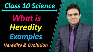 What is Heredity Class 10 Science Ch 9 Heredity and Evolution