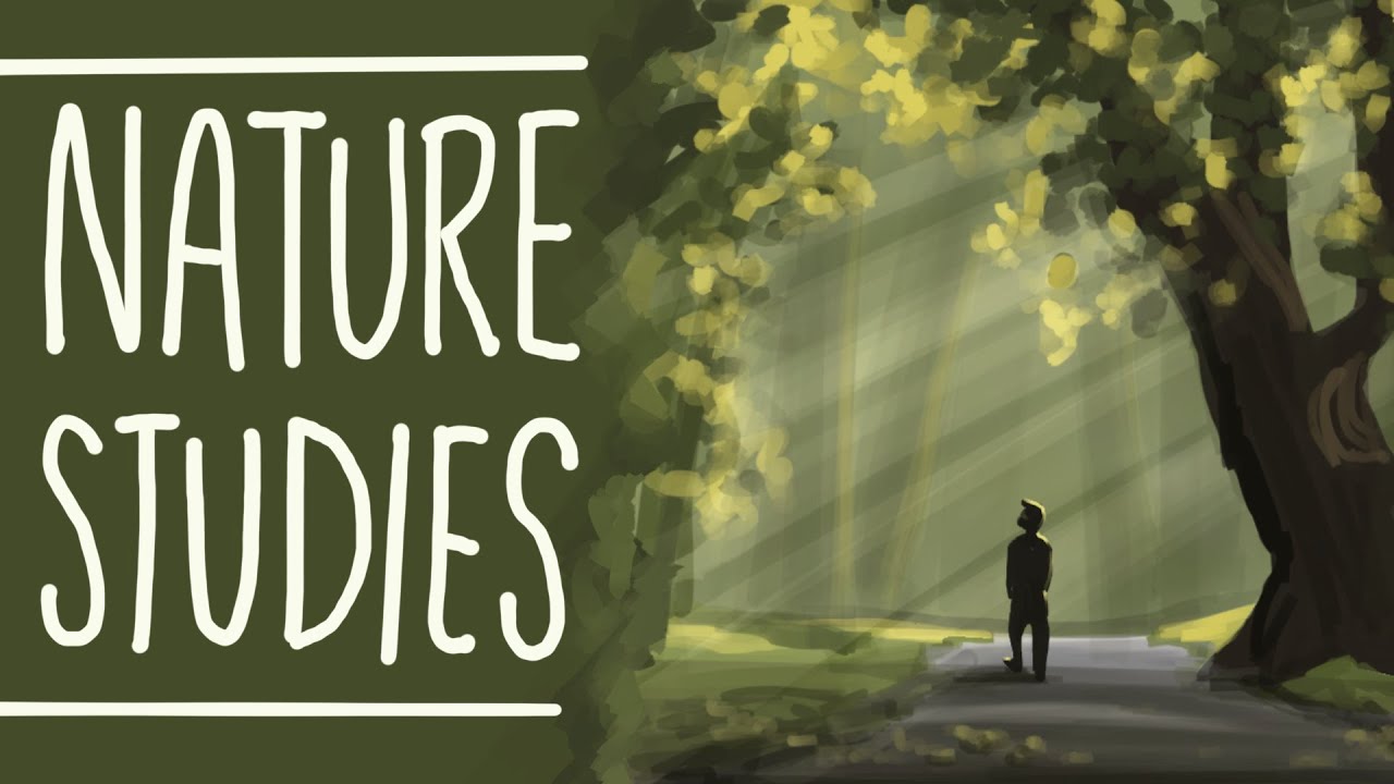 Nature Studies - PART 2 🌿🍃🌿🍃 - YouTube