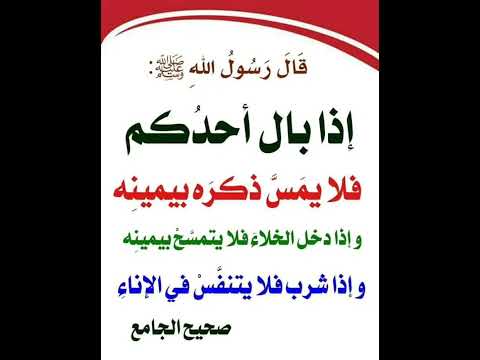 تعلم آداب قضاء الحاجه