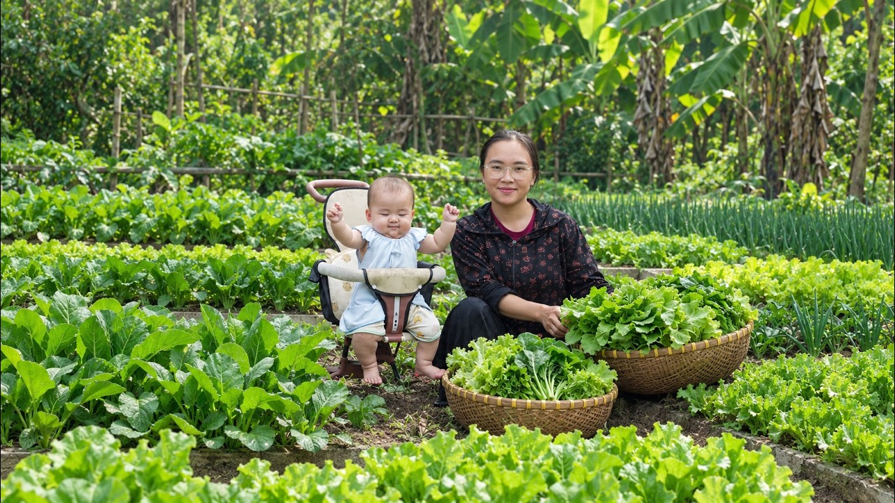 Harvesting garden vegetables to sel — The single mother's arduous journey to make a living