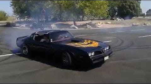 Transam Donuts 1