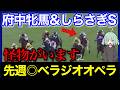 【◎ラヴァンダ🎯】データでは絶対見えない最強の１勝馬と、覚醒したデータブレイカー老兵が出てきます。。。🐴🔥【府中牝馬S&しらさぎS 2025】