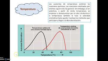 ¿Cómo afectan el pH y la temperatura a la actividad de una enzima?