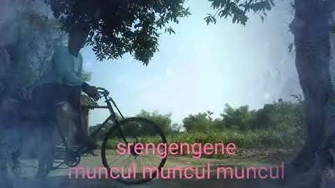Story wa Bang bang wetan