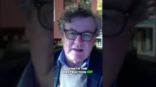 Bedouins Life Destroyed Unreported Assault Stolen Sheep