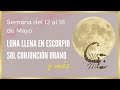 LUNA LLENA EN ESCORPIO Y SOL CONJUNCIÓN URANO ✅ ASTROLOGÍA del 12 al 18 de MAYO