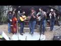 Corral creek bluegrass 1