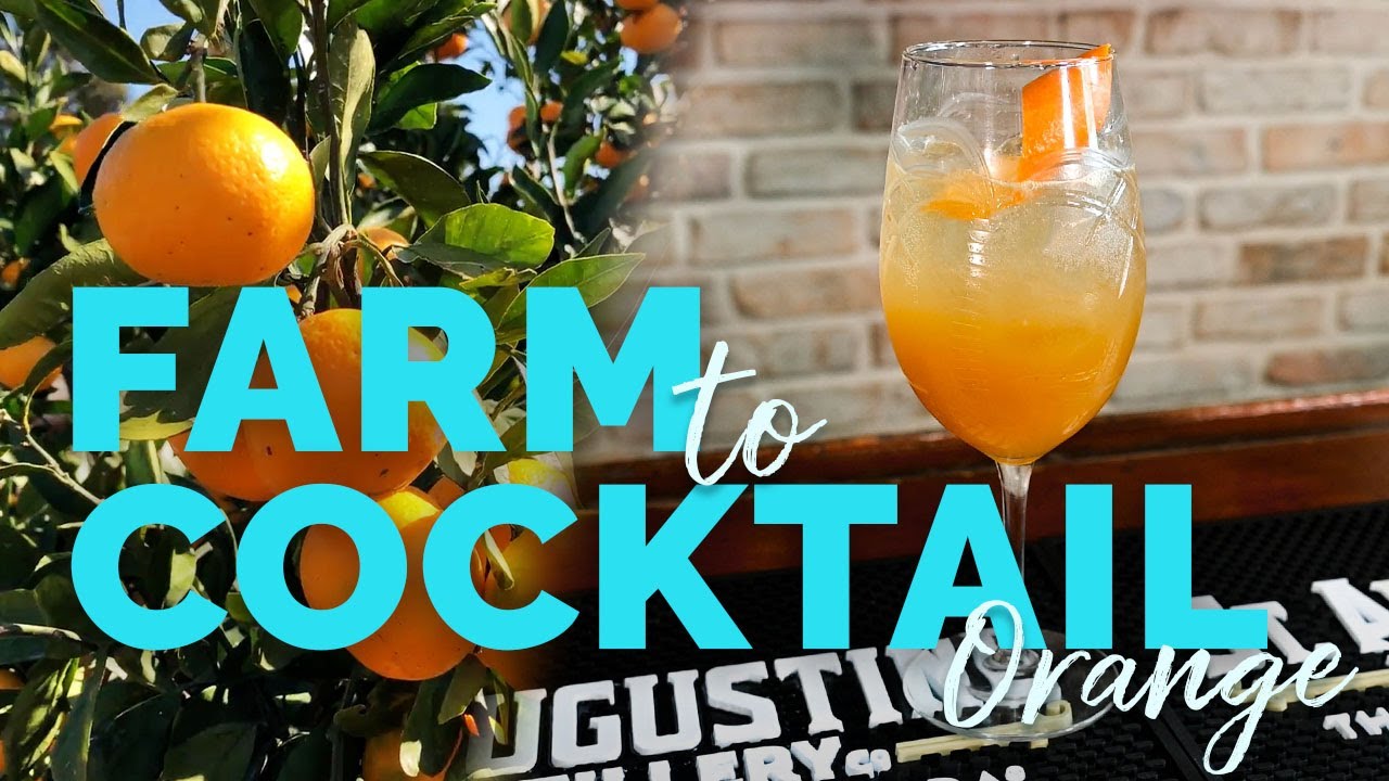 Farm to Cocktail: Orange Edition