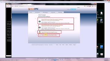 Configuring OpenVPN Access Server in ESXi using OVF Template