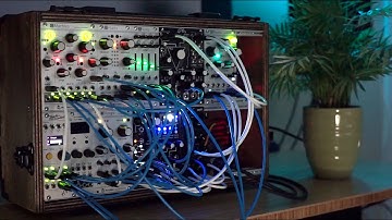 Playful rhythms and harmony with Mutable Instruments Rings and Plaits