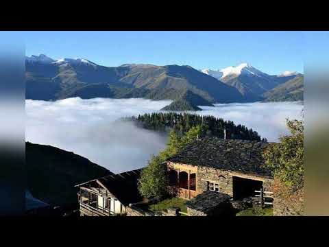 გშორდები ფიქრი მატულობს