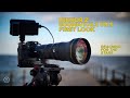 EPIC Nikon 800mm PF VR S 8K First Look | Far More Than You Think | Images From The Field Matt Irwin