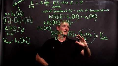 Enzyme-Catalyzed Reaction Kinetics Part II