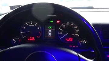 Audi S4 4.2 (1 Year After Timing Chain Replacement Cold Start)