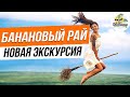 Банановый Рай - новая супер экскурсия в Доминикане (Пунта Кана)