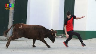 Vaquetes carnaval - Fernando Mansilla - Godall (Tarragona) Toros Fran Gomez FJGNtv Bous Al Carrer