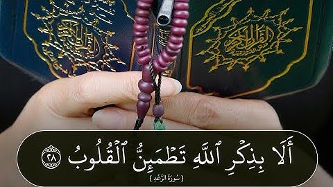 سورة الرعد بصوت القارئ إياد مهرة