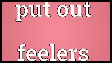 Put out feelers Meaning