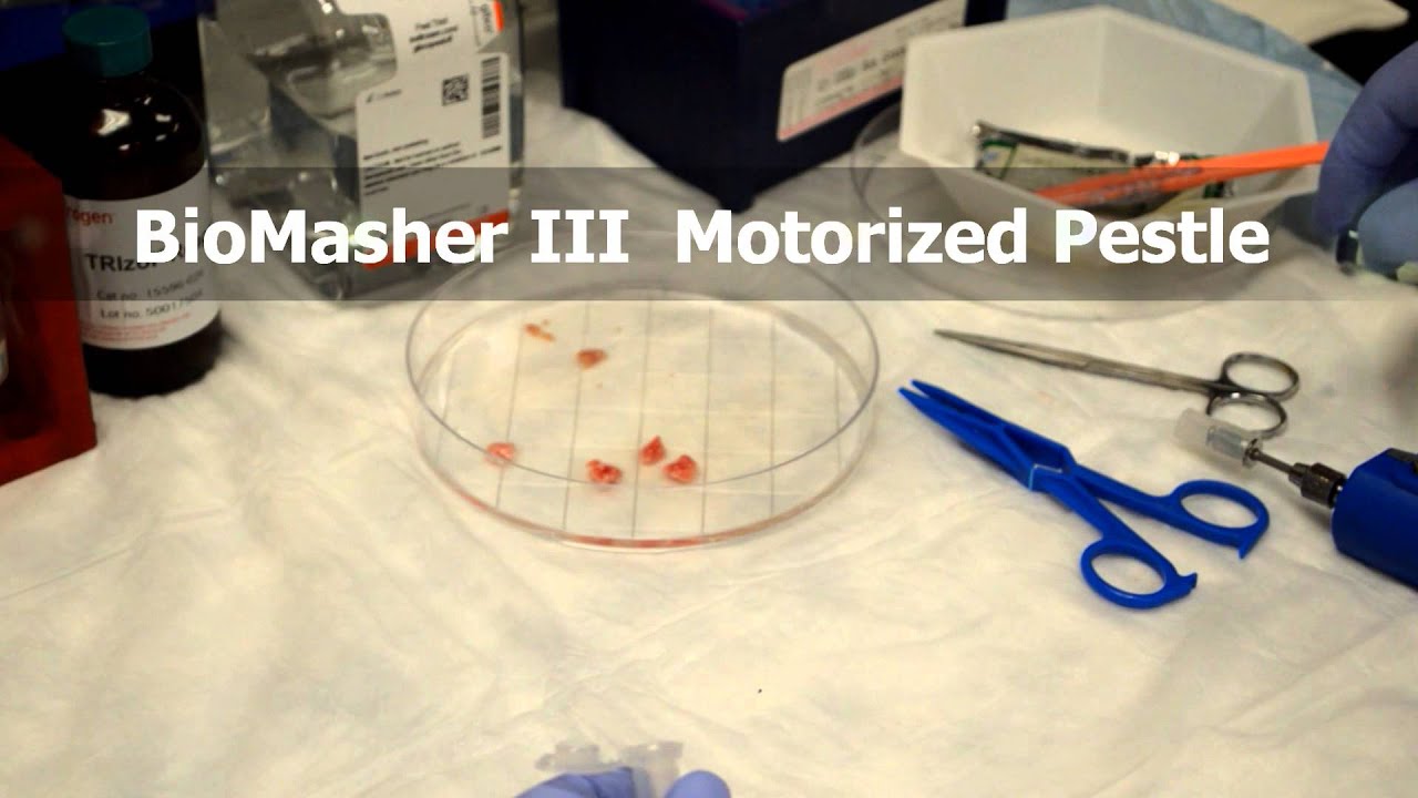 BioMasher 3 YouTube