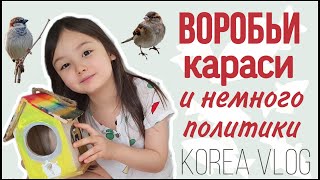 Домашняя суета и мои мысли о Навальном;) KOREA VLOG