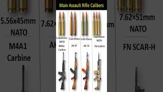 Main Assault Rifle Calibers Explained 🔫 | 5.56 vs 7.62 vs 5.45 (Full Comparison)