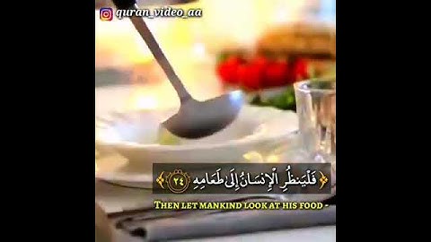 سورة عبس//الشيخ عكاشة كميني