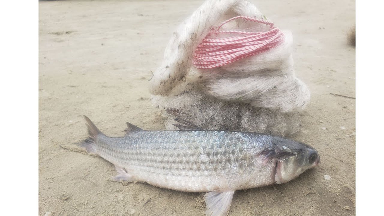 Point do Buraco - PESCARIA DE TARRAFA