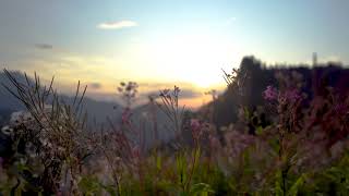 MONT AIGUILLE® - Ecusson Brodé Coucher de Soleil du Trièves Vercors