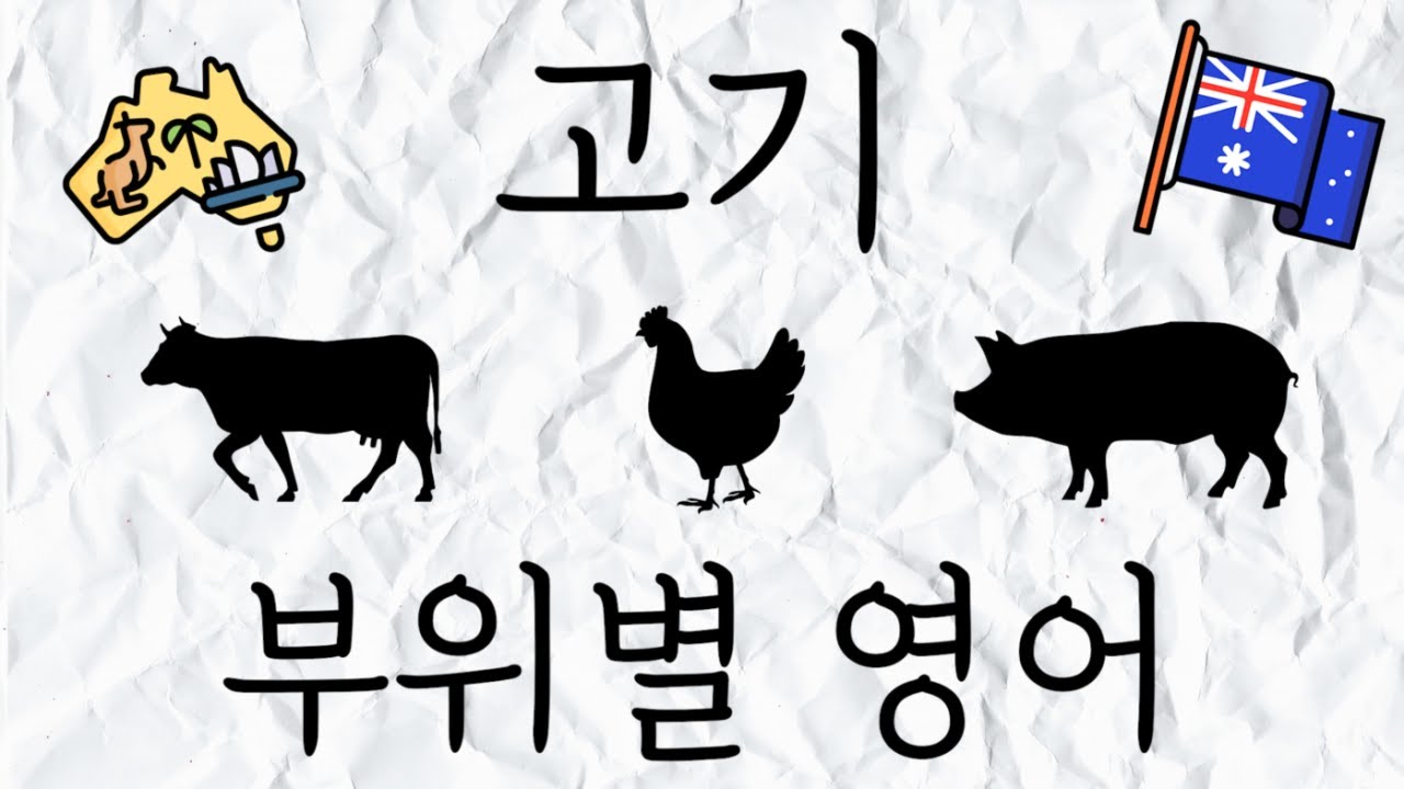 🇦🇺호주 고기 부위별 영어 🇦🇺 소고기, 돼지고기, 닭고기