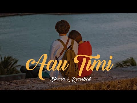 Aau timi - Prabesh Kumar Shrestha ( slowed ) Lyrics ( aau tumi yo jindagima)
