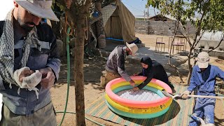 Download Lagu **Bringing in a New Teacher and an Inflatable Pool: The Story of Grandma and the Geese** MP3 Download Lagu **Bringing in a New Teacher and an Inflatable Pool: The Story of Grandma and the Geese** MP3