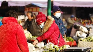 GLOBALink | Ensuring vegetable supplies and stable prices amid cold waves in China