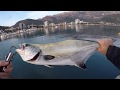 Montenegro Spinning - Leerfish 1.9kg (Lichia amia, Lica) on Spasm lure