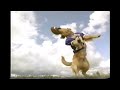 Air Bud Golden Receiver Movie Trailer Version 2 Commercial 1998