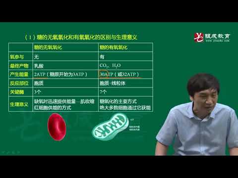 第05章 糖代谢1