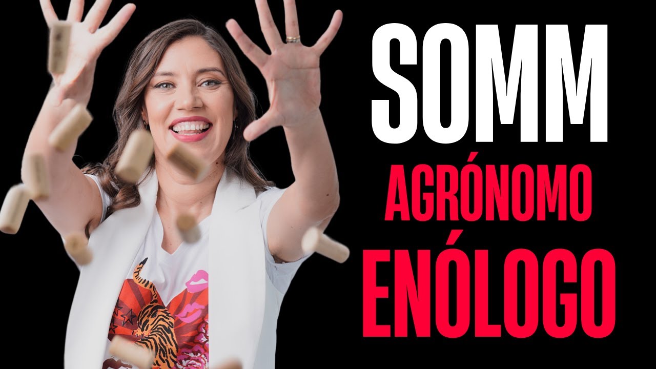 🍇 ¿Enólogo, agrónomo o sommelier? 🔴 Link y 🎁