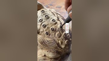 nghệ thuật điêu khắc cóc ngậm tiền -woodcarving-tập1 |Thế Giới Đồ Gỗ Xuân Huy #shorts