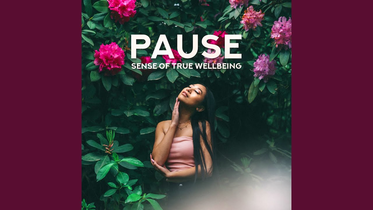Tonton Pause for Vitality di YouTube