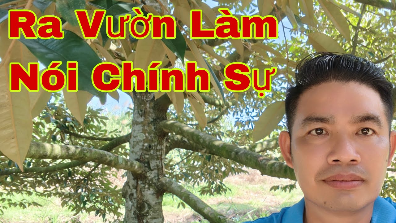 Đinh H Nhân Thảm sâu cuộc bốc phốt...yong...