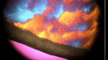 BTL FDM Sucrose colour video (Freeze Drying Product