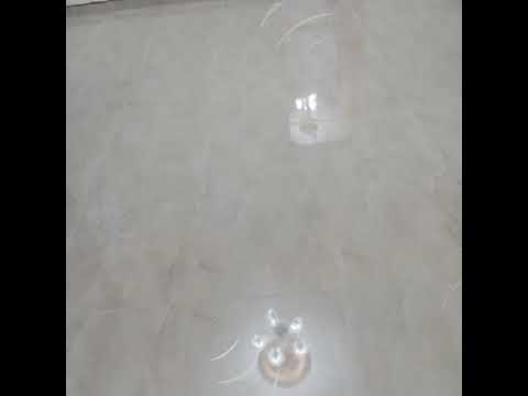 بنغازي شارع شبنه