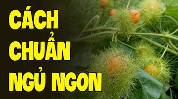 Làm Thế Nào Để Người MẤT NGỦ LÂU NĂM Ngủ Ngon Trở Lại Chỉ Trong Vòng 1 Tuần | Sức Khoẻ Đời Sống HYT3